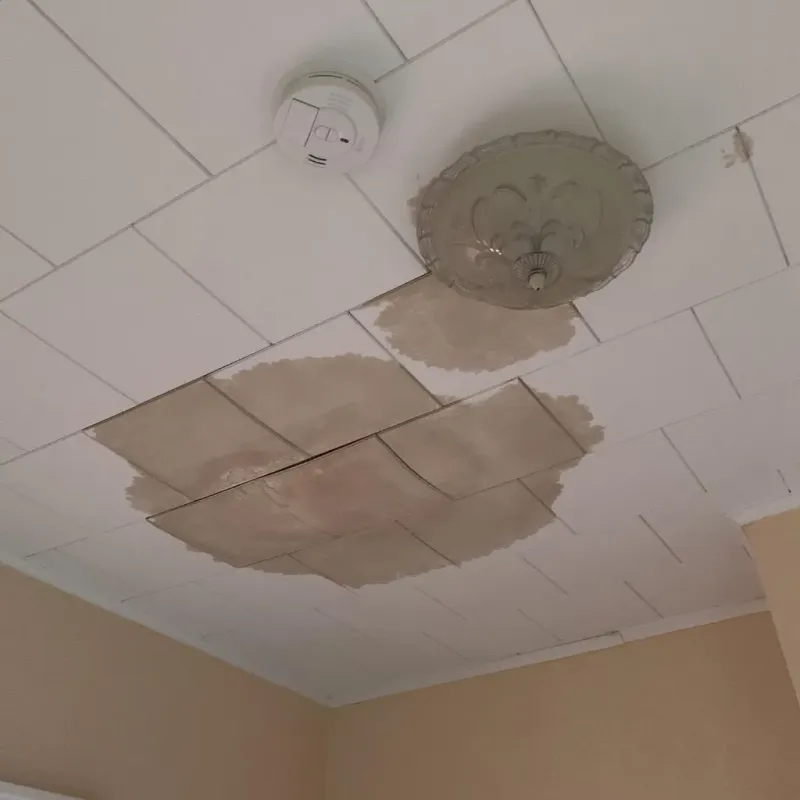 Ceiling Water Damage Repair in Chepachet, RI