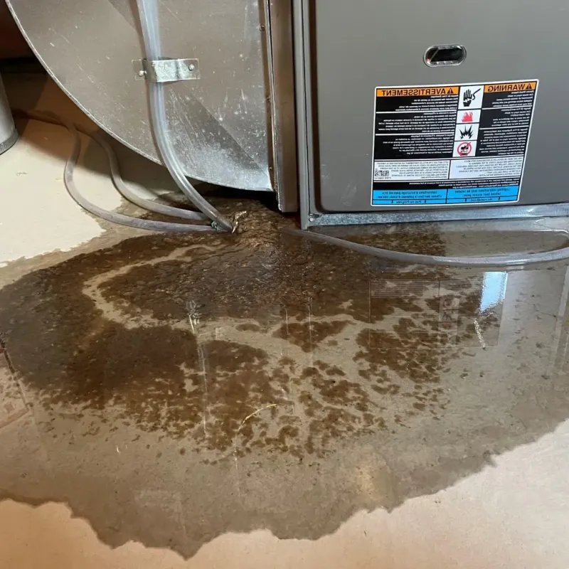 Pipe Burst and Leak Restoration in Chepachet, RI