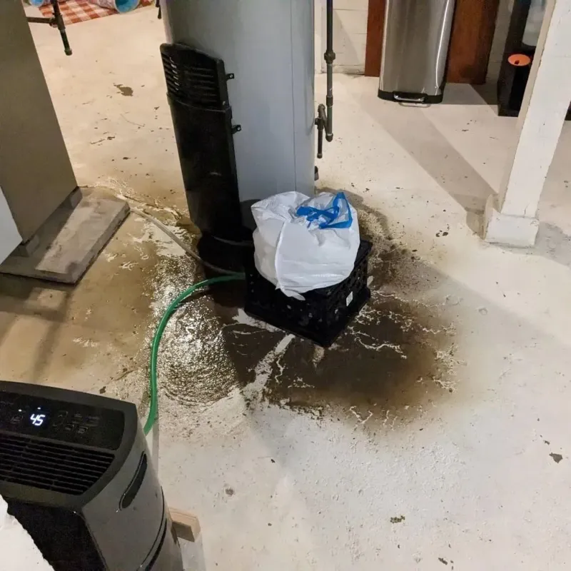 Sewage Backup Cleanup Service in Chepachet, RI